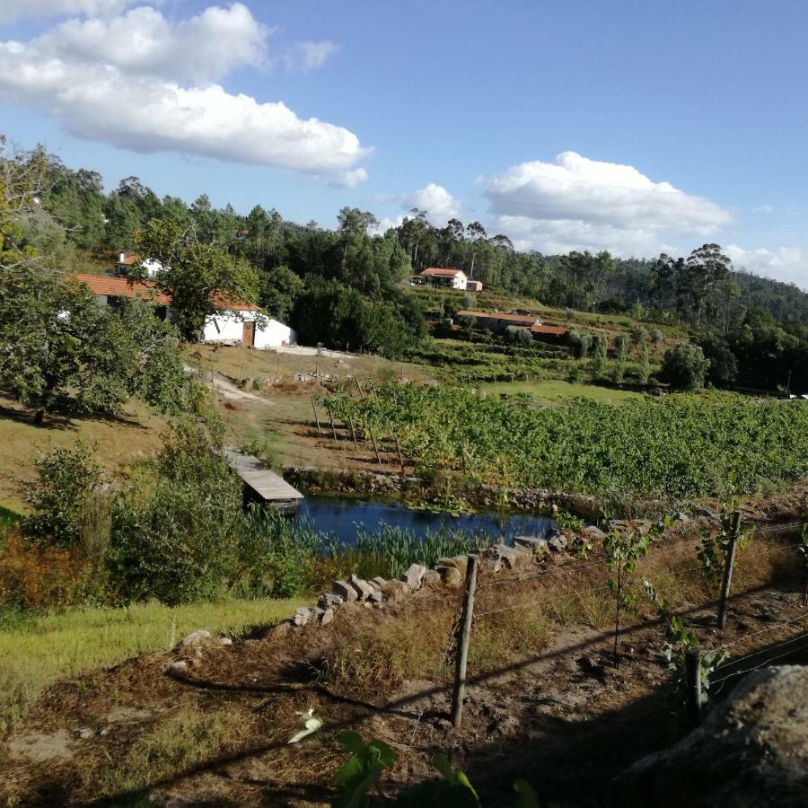 Casa Na Quinta De Valinhas Apartment Vitorino dos Piães Екстериор снимка